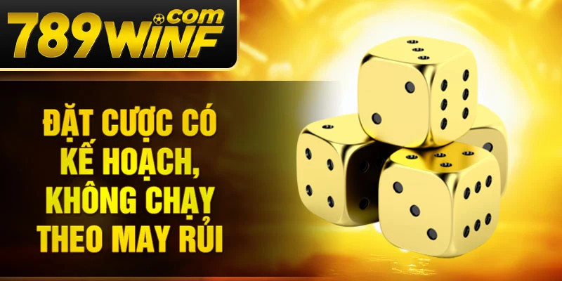 Đặt cược có kế hoạch, không chạy theo may rủi